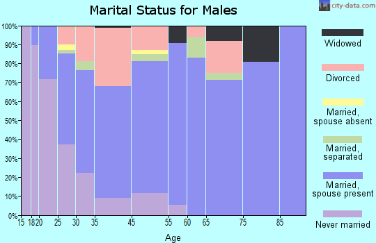 Lacy-Lakeview marital status for males