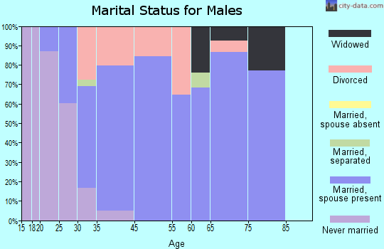 Lago Vista marital status for males