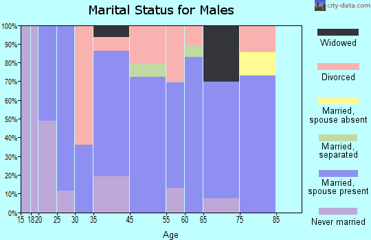 Lake Brownwood marital status for males