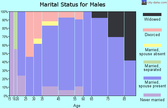 Lake Kiowa marital status for males