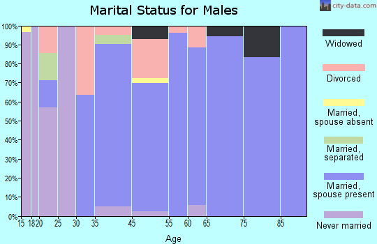 Lake Tanglewood marital status for males