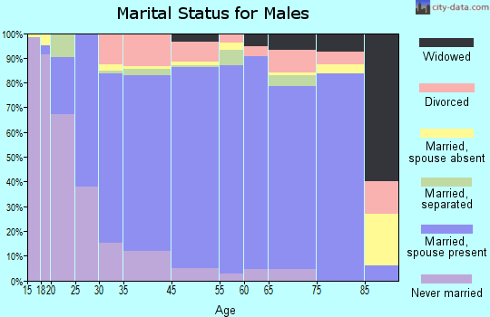 Lamesa marital status for males