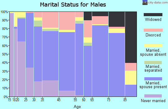 Lancaster marital status for males