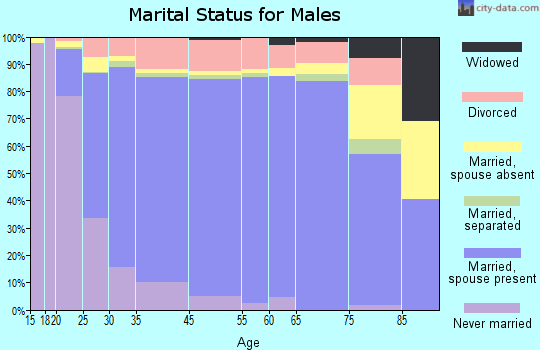 League City marital status for males