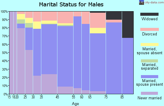 Leon Valley marital status for males