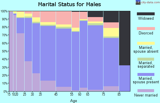 Lewisville marital status for males