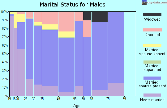 Little Elm marital status for males