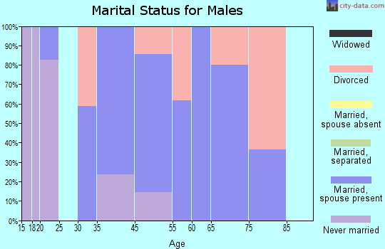 Log Cabin marital status for males