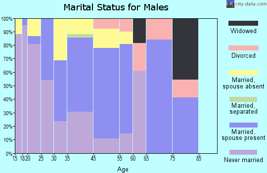 Mecca marital status for males