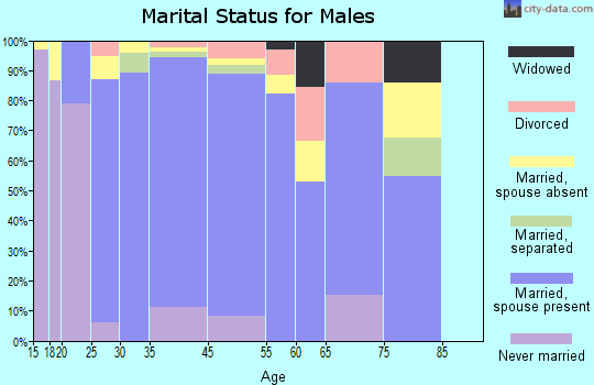 Los Fresnos marital status for males