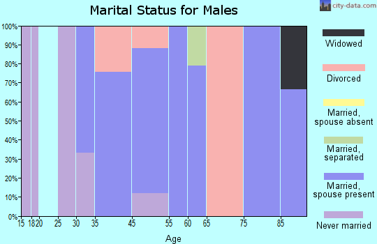 Mendocino marital status for males