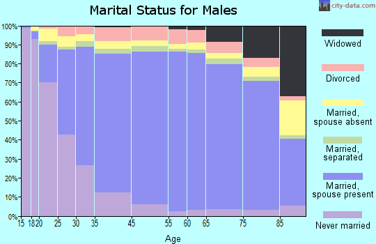 McAllen marital status for males