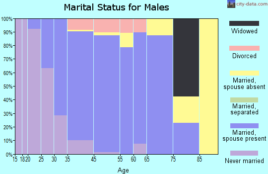 Meadows Place marital status for males