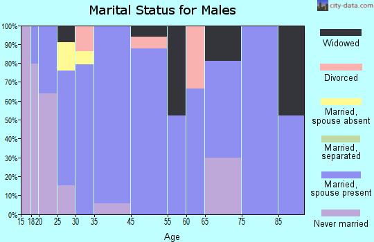 Medina marital status for males