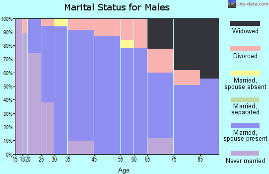 Merkel marital status for males