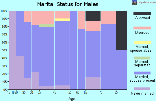 Mertzon marital status for males