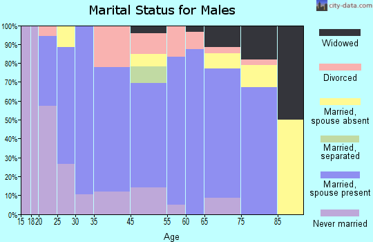 Mineola marital status for males