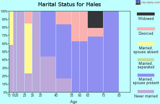 Morgan's Point marital status for males