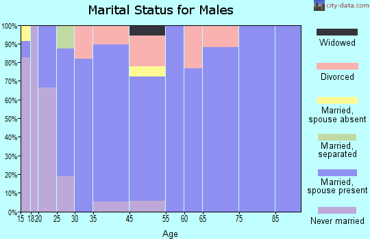 Mount Enterprise marital status for males