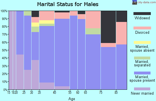 Muleshoe marital status for males
