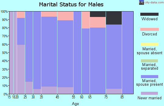 Hokes Bluff marital status for males
