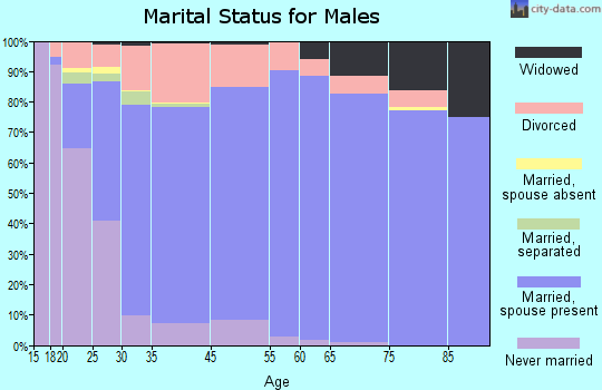 Nederland marital status for males