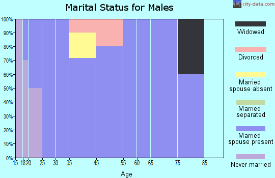 New Home marital status for males