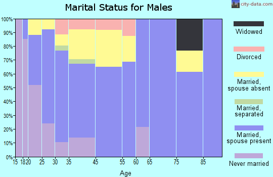 New Summerfield marital status for males