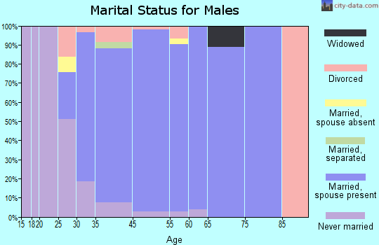 Oak Ridge North marital status for males
