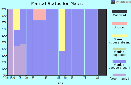 Olmito marital status for males