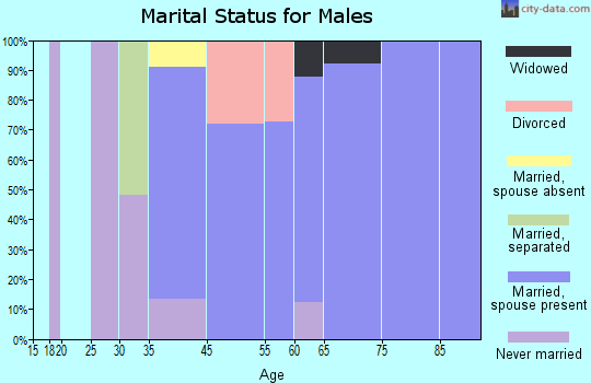 Onion Creek marital status for males