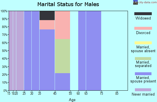 Owl Ranch-Amargosa marital status for males