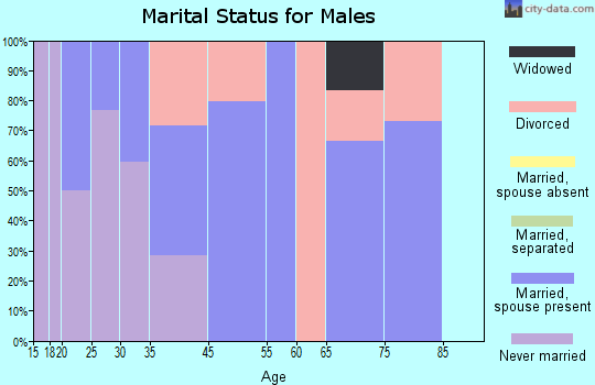 Mi-Wuk Village marital status for males