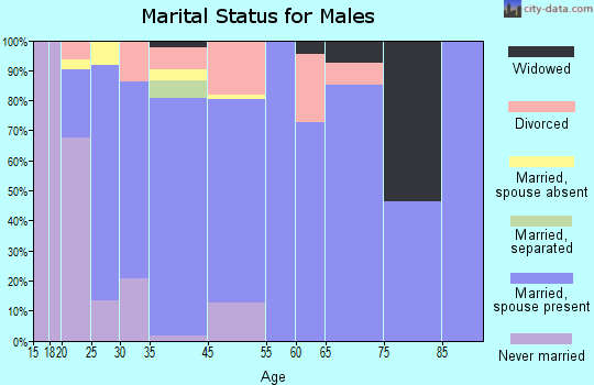 Palmer marital status for males