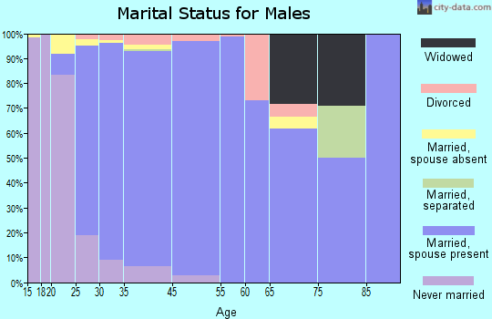 Palmhurst marital status for males