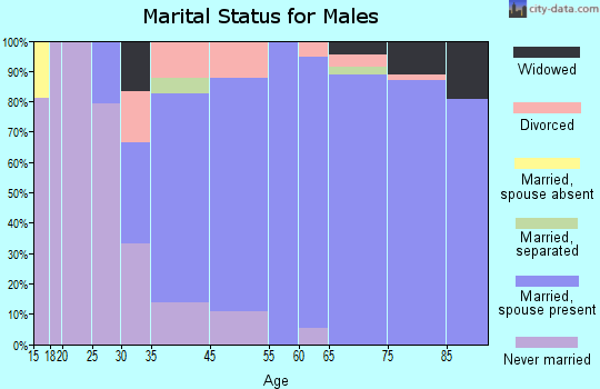 Palm Valley marital status for males