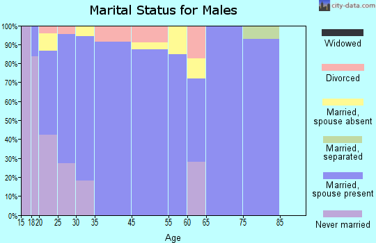 Palmview marital status for males