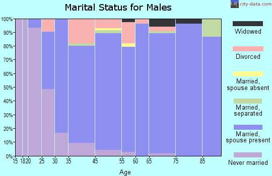 Panorama Village marital status for males
