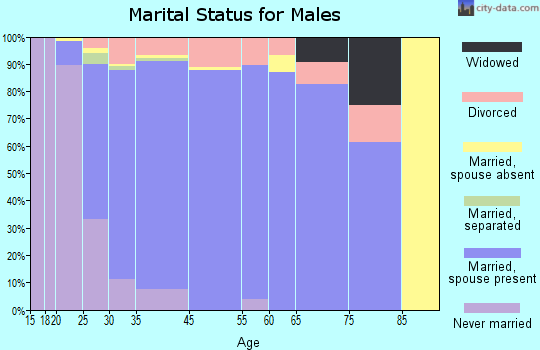Pflugerville marital status for males