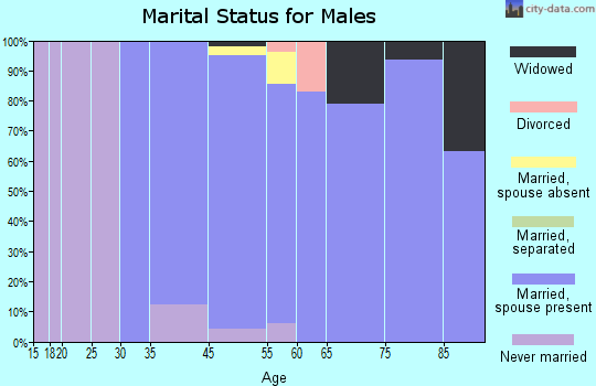 Piney Point Village marital status for males