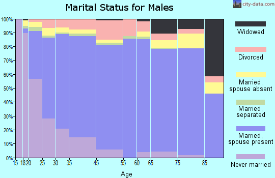 Plainview marital status for males