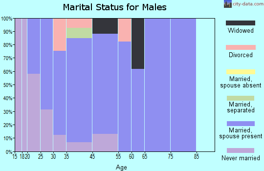 Porter Heights marital status for males