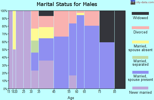 Port Mansfield marital status for males