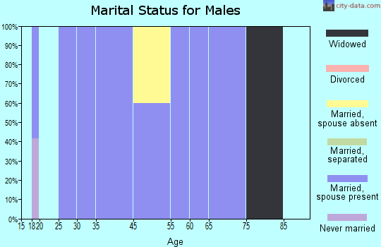 Quemado marital status for males