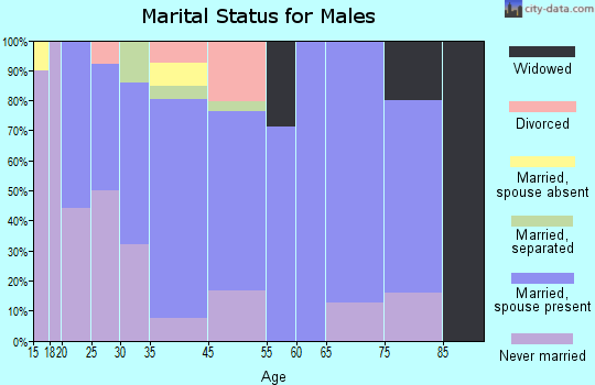 Rancho Alegre marital status for males