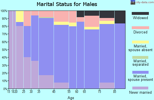 Rancho Viejo marital status for males