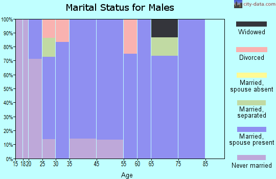 Richland Springs marital status for males
