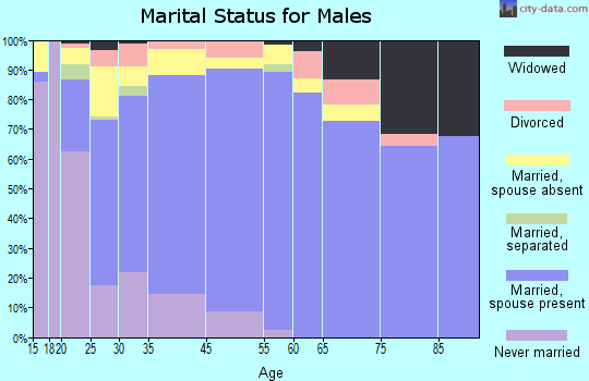 Rio Grande City marital status for males