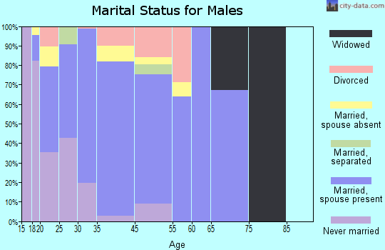 Roanoke marital status for males