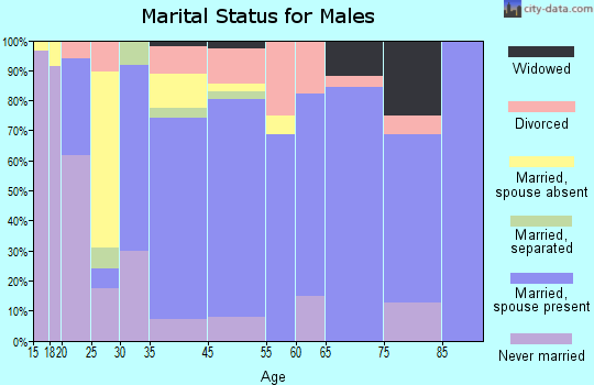 Rocksprings marital status for males
